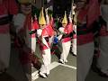 しのぶ連！高円寺阿波踊り2024 Koenji Awa Odori #shorts #tokyo #festival #阿波踊り #高円寺 #祭り