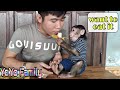 Monkey YoYo jr feeds dad banana peels |Baby Monkey|Family YoYo|