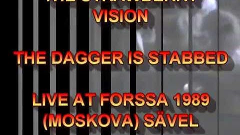 THE STRAWBERRY VISION - THE DAGGER IS STABBED  - LIVE AT 1989 FORSSA SÄVEL (MOSKOVA)