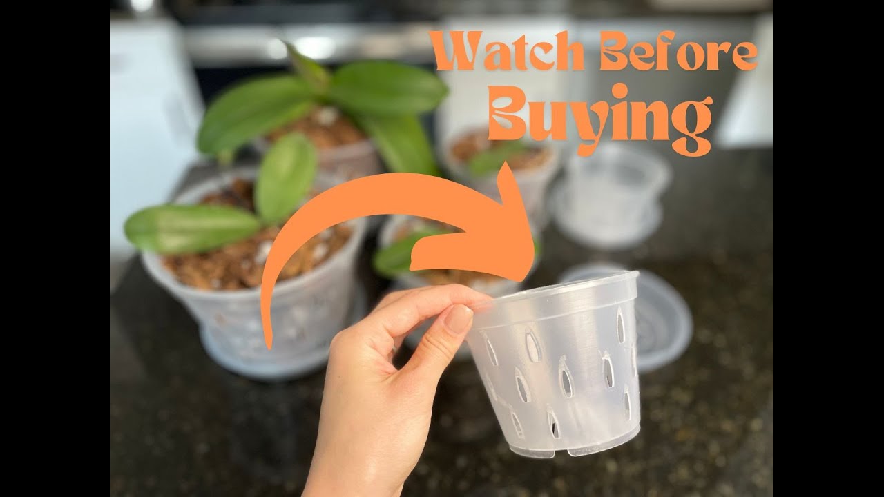 The Best Orchid Pots for Healthy and Happy Plants!