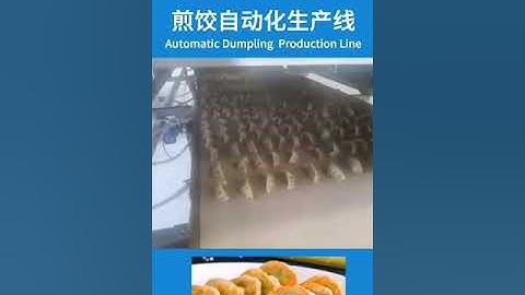 【Automatic Dumpling Production  Line】煎饺自动化生产线 #Dumpling Production  Line #automatic #Gyoza