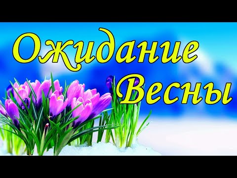 Стихотворение Ожидание Весны . Красивые стихи о весне