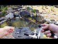 Micro Fishing for a New Pet Crappie!!