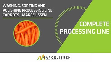 Washing, Sorting and Polishing Processing Line Carrots - Marcelissen