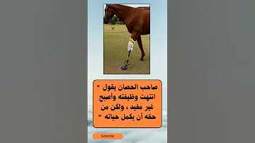 تحية لاصحاب القلوب الرحيمة اكسبلور السعوديه 