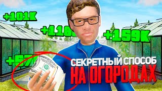 СЕКРЕТНАЯ КОМБИНАЦИЯ ОВОЩЕЙ для ОГОРОДОВ на РАДМИР РП КРМП в GTA! ЛУЧШИЙ АФК ЗАРАБОТОК на RADMIR RP!