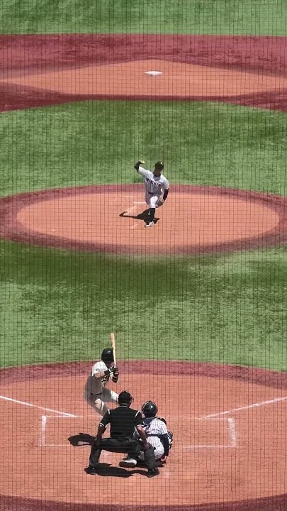 明治大学 横山陽樹 マルチヒット 作新学院出身 2024.5.11 YouTube