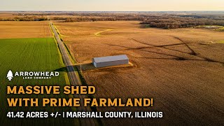 LAND FOR SALE: 41 Acres +/- of Illinois Farm Land & Brand NEW NL Morton Shed!