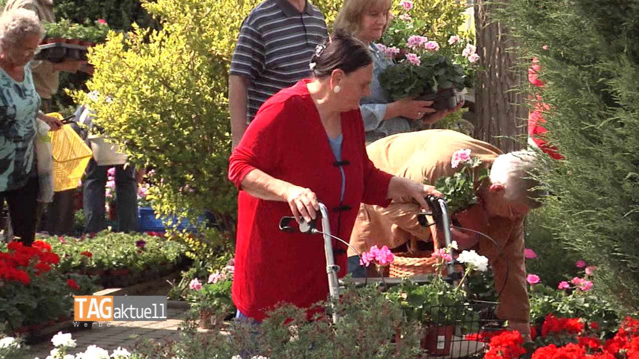 Balkonpflanzaktion der Wewobau