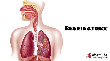 Respiratory CPT Medical Coding for the CPC and CCS Exams - Re-released