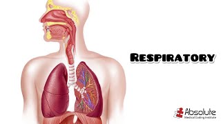 Respiratory CPT Medical Coding for the CPC and CCS Exams  Rereleased