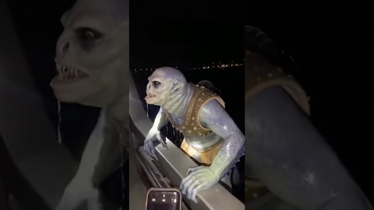 😱🔥☠️Unidentified Aquatic Creature Causes Panic on Tourist Boat