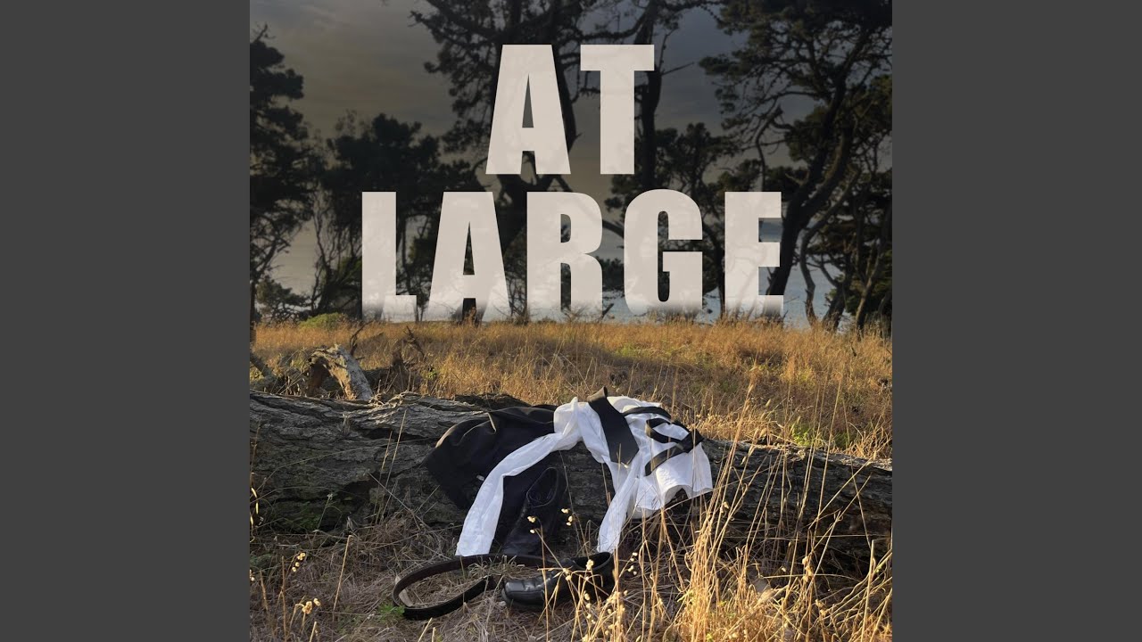 Watch At Large on YouTube Watch At Large on YouTube