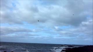 Helicopters Airwaves Portrush Airshow 2015
