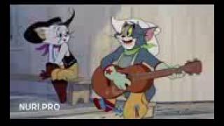 Whatsapp Status Pi Ve Sican