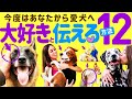 【感動】愛犬に「大好き❤️」を伝える12の方法 〜飼い主の愛情表現〜