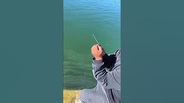 Thumbnail of WORLD'S SMALLEST FISHING ROD