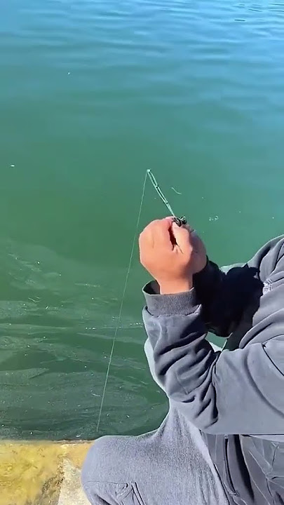 WORLD'S SMALLEST FISHING ROD