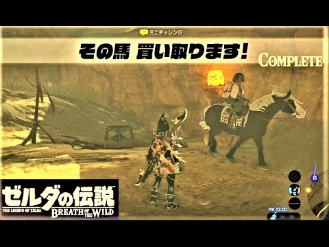 ブレスオブザワイルド ミニチャレンジ ゼルダの伝説