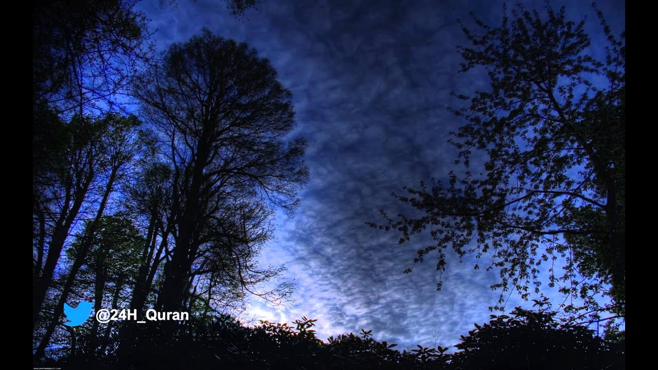 سوره لقمان..الشيخ هاني الرفاعي