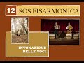 SOS fisarmonica - intonatura delle voci