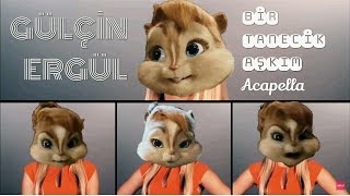 Alvin ve Sincaplar - Bir Tanecik Aşkım (Acapella) Resimi