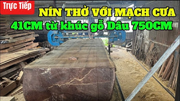 Nín Thở xẻ mạch cưa 45cm từ khúc Dâu Vanh 750 🔥