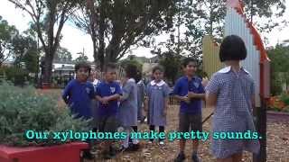 The Lionfish Take The Bees On A Video Tour Of Their School
