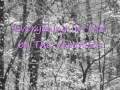 Everything I&#39;m Not by The Veronicas with lyrics