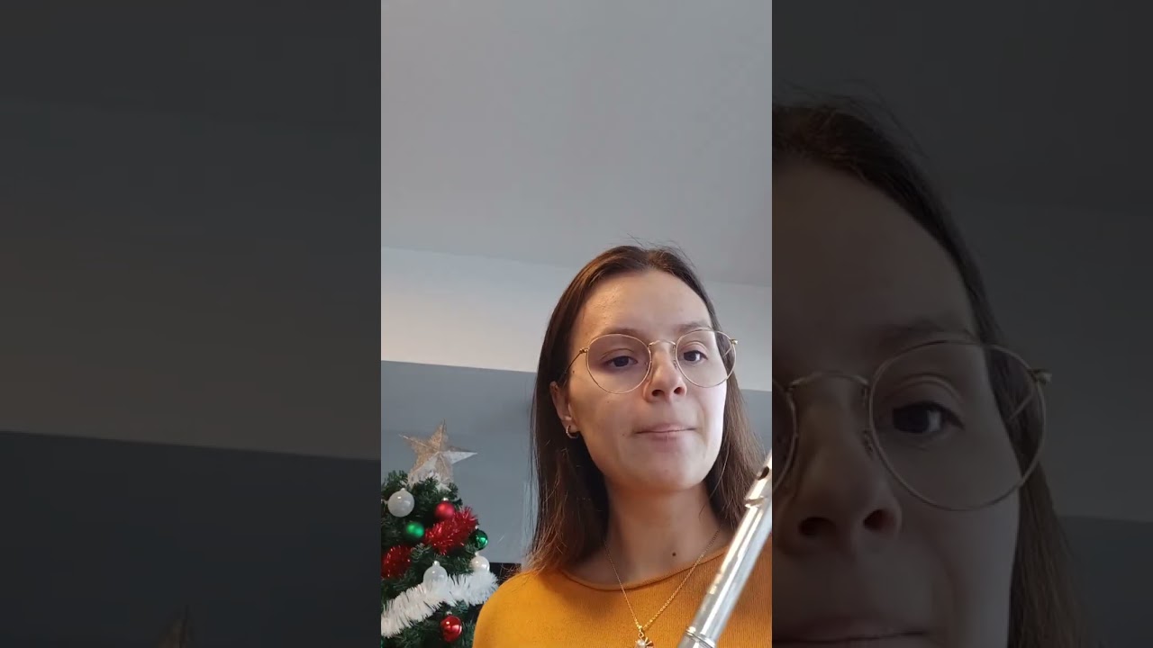 Franz Schubert Symphony N°4 in C Minor Allegro