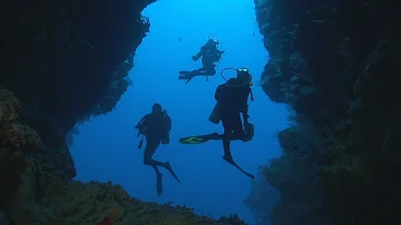 Dakuwaqa's Garden - Underwater footage from Fiji & Tonga
