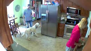 Making dinner and a can of biscuits explode