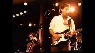 Watch Ry Cooder All Shook Up video