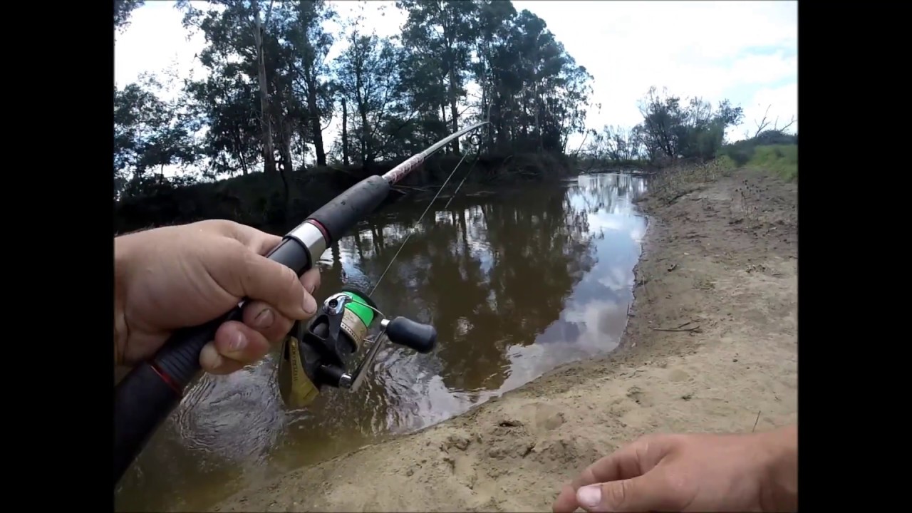 F.A.I.F Fishing the Yarra River YouTube