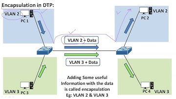 Dynamic Trunking Protocol (DTP): Understanding DTP and Encapsulation