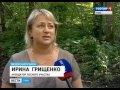 Поправки в лесной кодекс РФ