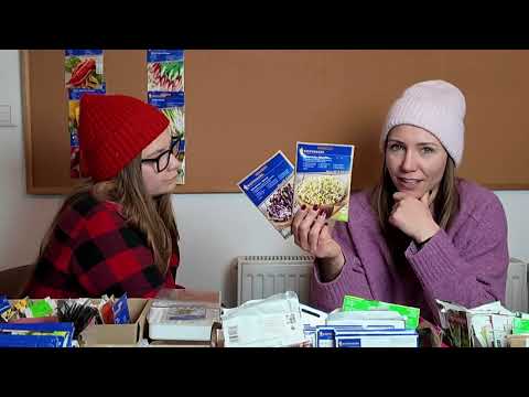 Women and Seeds: What to Sow in January/February: Eggplant and Peppers: Celery, Leeks, Onions, an...