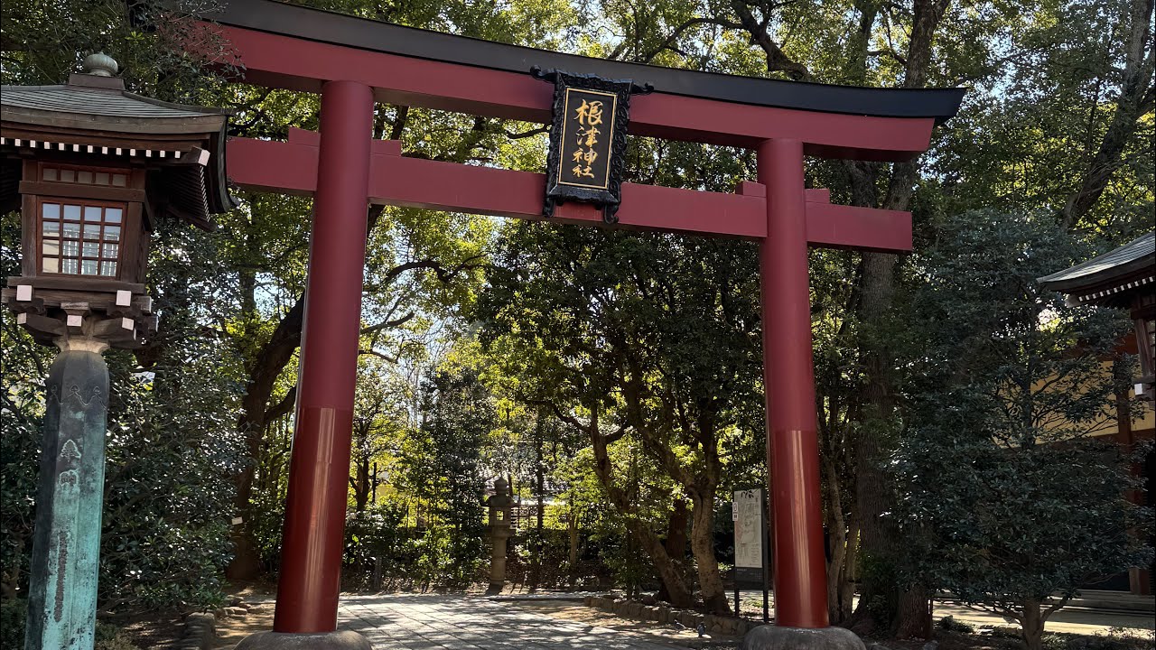 Jak radzić sobie ze stresem w podróży? - Tokyo 2026, Japonia | Gacek w Podróży #2