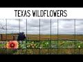 Just Some Texas Wildflowers, Big Sky, &amp; Country Music