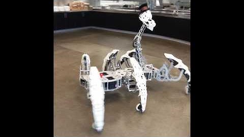 hexapod robot