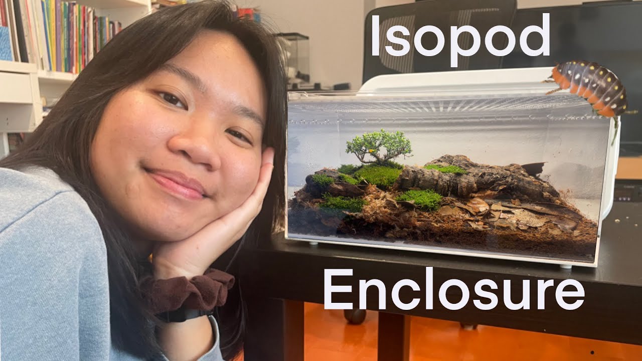 building a bonsai isopod enclosure 🪴 YouTube