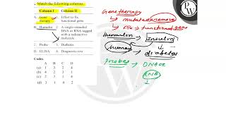 \begin{tabular}{l}  Match the following columns. \\ \( \begin{array}{ll}\text { Column I } & \te...