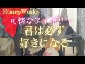 HoneyWorks【可憐なアイボリー】「君は必ず好きになる」を弾いてみました。