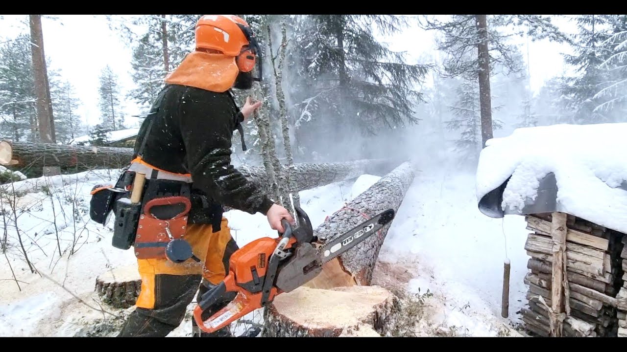 Terä haukkaa ja potkii