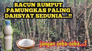 Download Lagu Bahaya..\ MP3