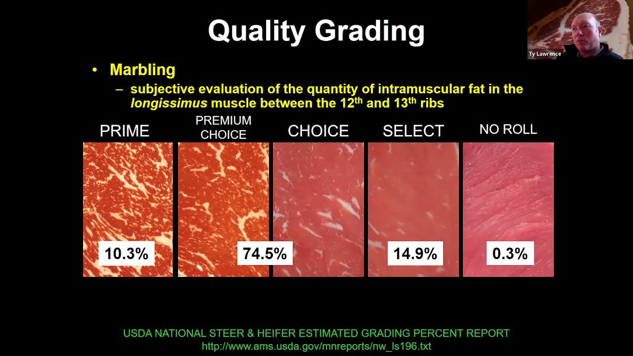 Meat Grade Ruler Usda Meat Grade Chart Factors Increasing Quality Grades In U.S. Fed