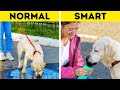 NORMAL PET OWNER vs SMART PET OWNER || Amazing gadgets, hacks and tricks by 5-Minute Crafts LIKE