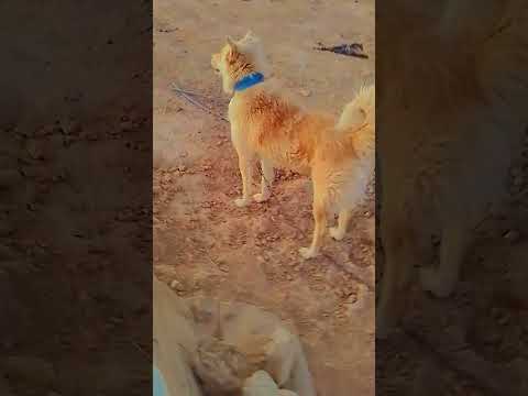٣٠ حزيران ٢٠٢٦