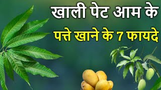 खाली पेट आम के 2 पत्ते खाने के 7 फायदे। 7 Health Benefits Of Mango Leaves That You Should Know.