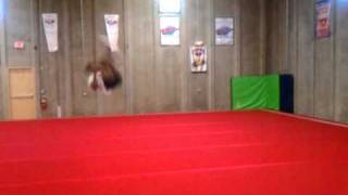 Sandria Dixon- Combo Full To Double2010